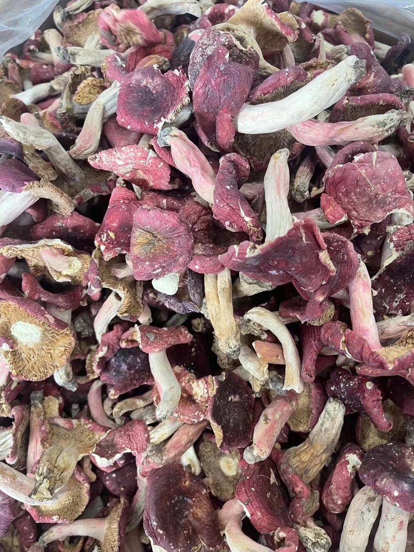 河南红菇一斤装实惠