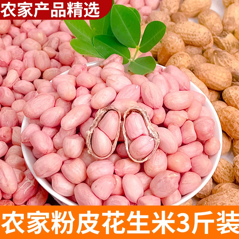 粉皮花生米  3斤装 农村山货新花生米 大粒