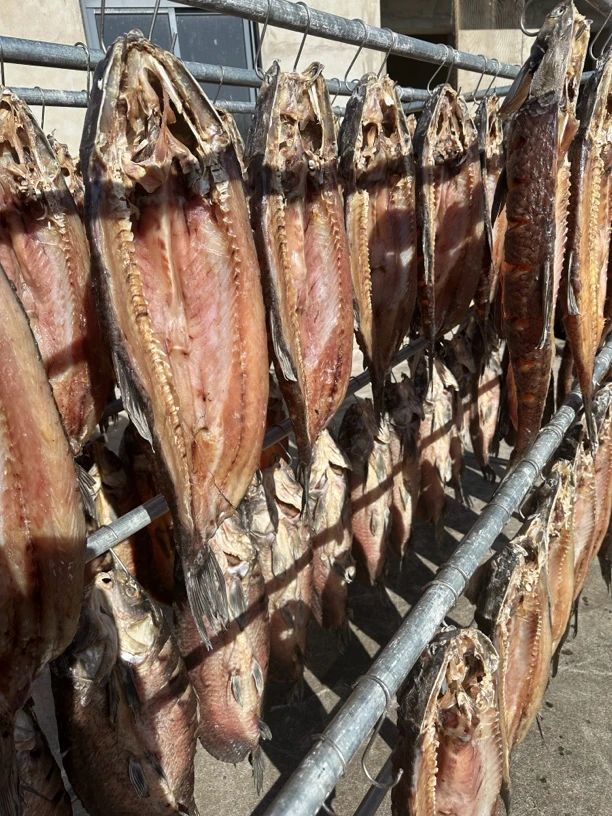 肥东风干咸鱼青鱼