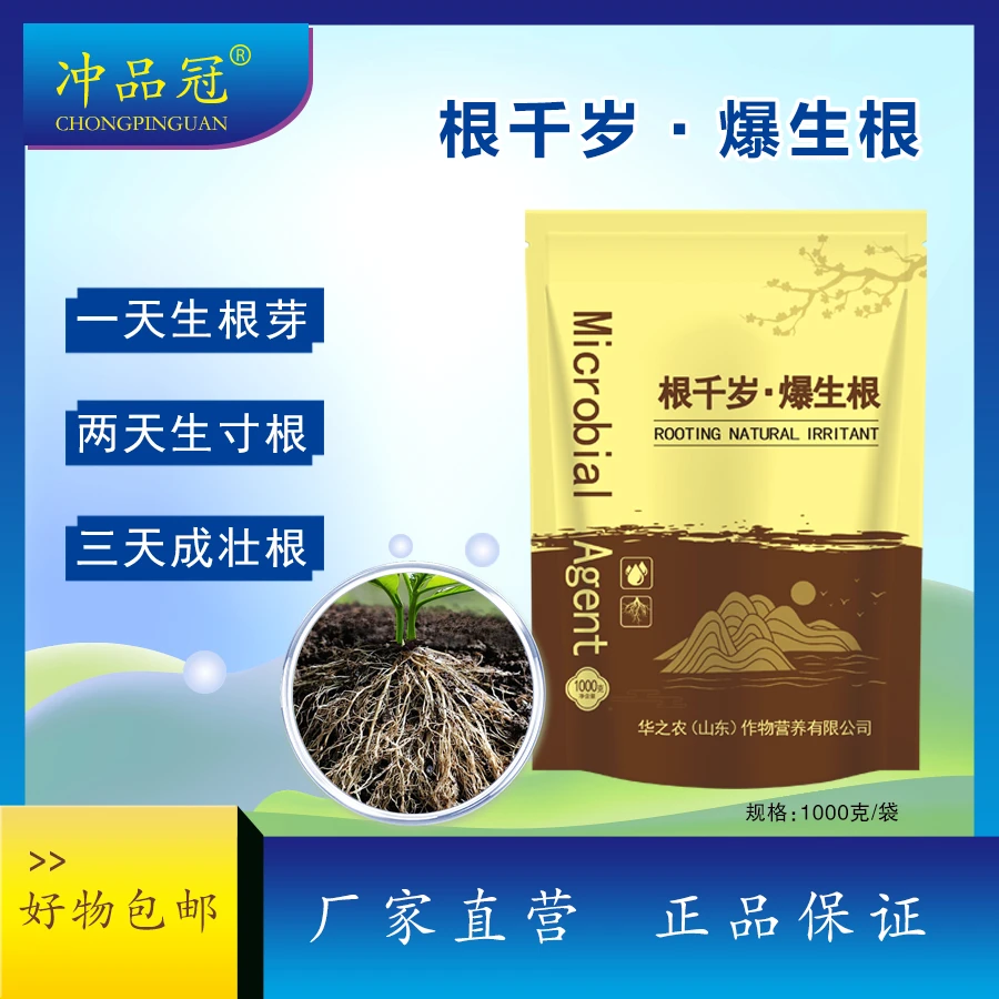 根千岁爆生根有效微生物菌肥生根壮根全水溶施肥增产浓缩活菌粉剂