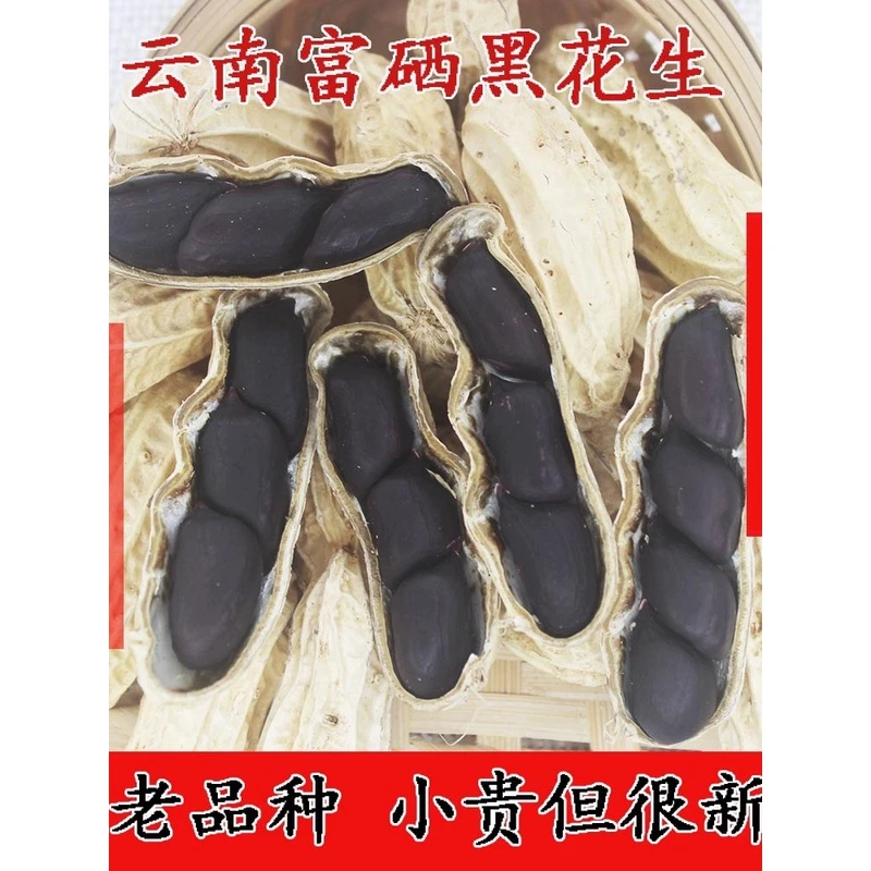 2023年云南黑花生新货晒干