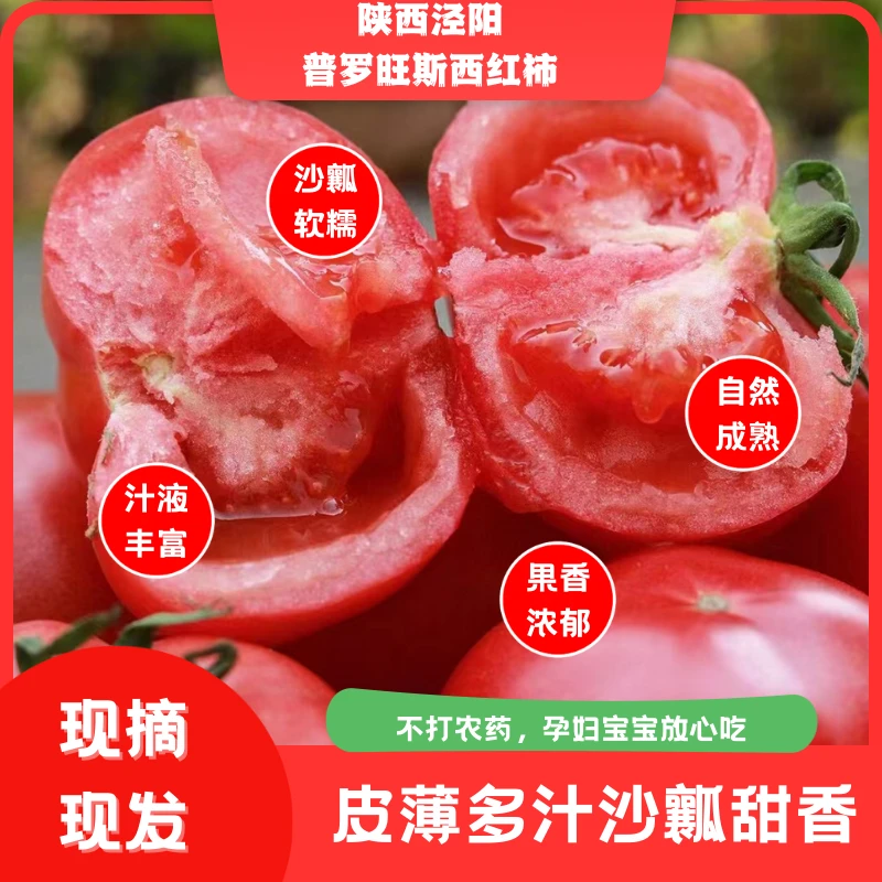 【顺丰】陕西泾阳普罗旺斯西红柿4.5~5斤 新鲜农产品应季蔬菜沙瓤