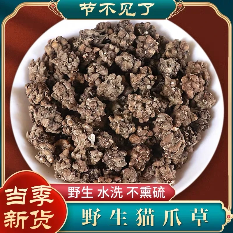 猫爪草 中药材正宗中草药大果实猫爪草泡水农产品包邮另售鱼腥草