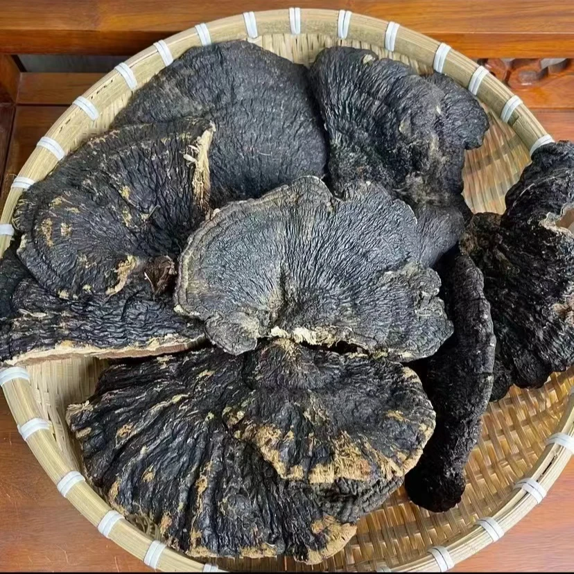 缅甸大山龙皮灵芝250g/500g