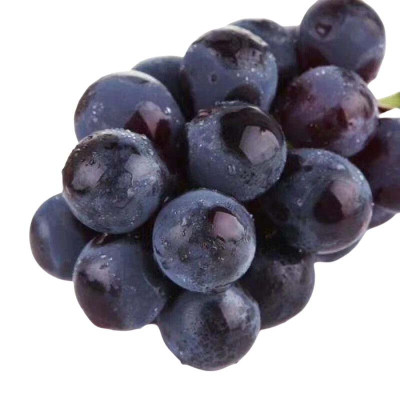 鑫果伴巨峰葡萄 3斤 新鲜葡萄水果当季新鲜水果葡萄 源头产地直发