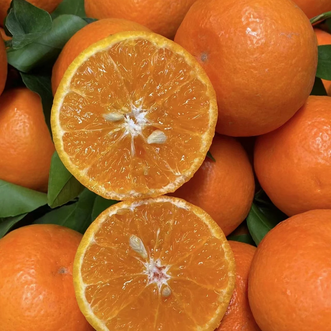 【尚寇精选】广西武鸣沃柑细嫩爽口多汁5/8斤装 现摘现发