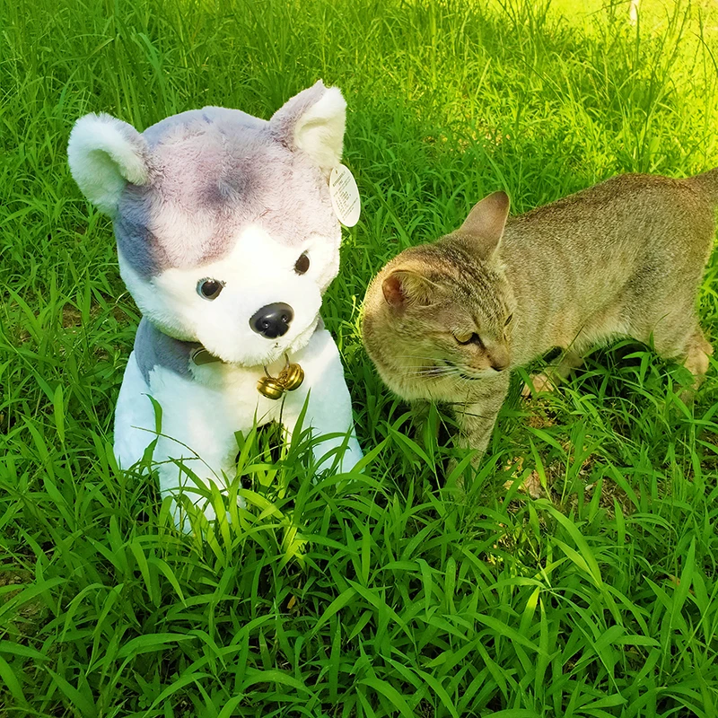 可爱哈士奇公仔抱枕小狗毛绒玩具狗狗玩偶布娃娃女生大号生日礼物