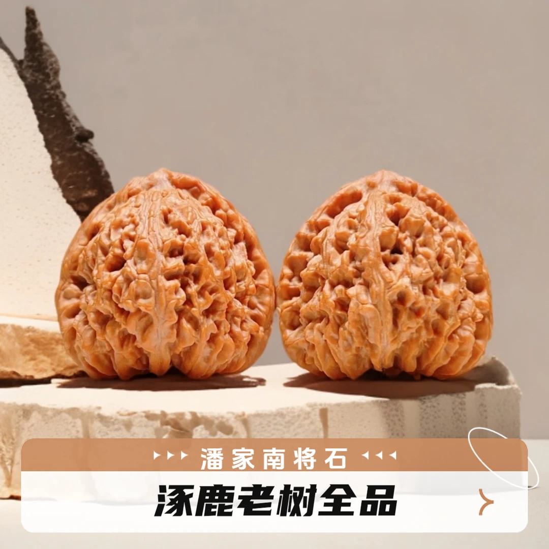 潘家南将石下单链接
