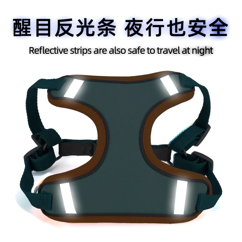 跨境夜光遛狗猫绳 小型犬狗狗牵引绳反光胸背带猫绳 发光狗绳批发