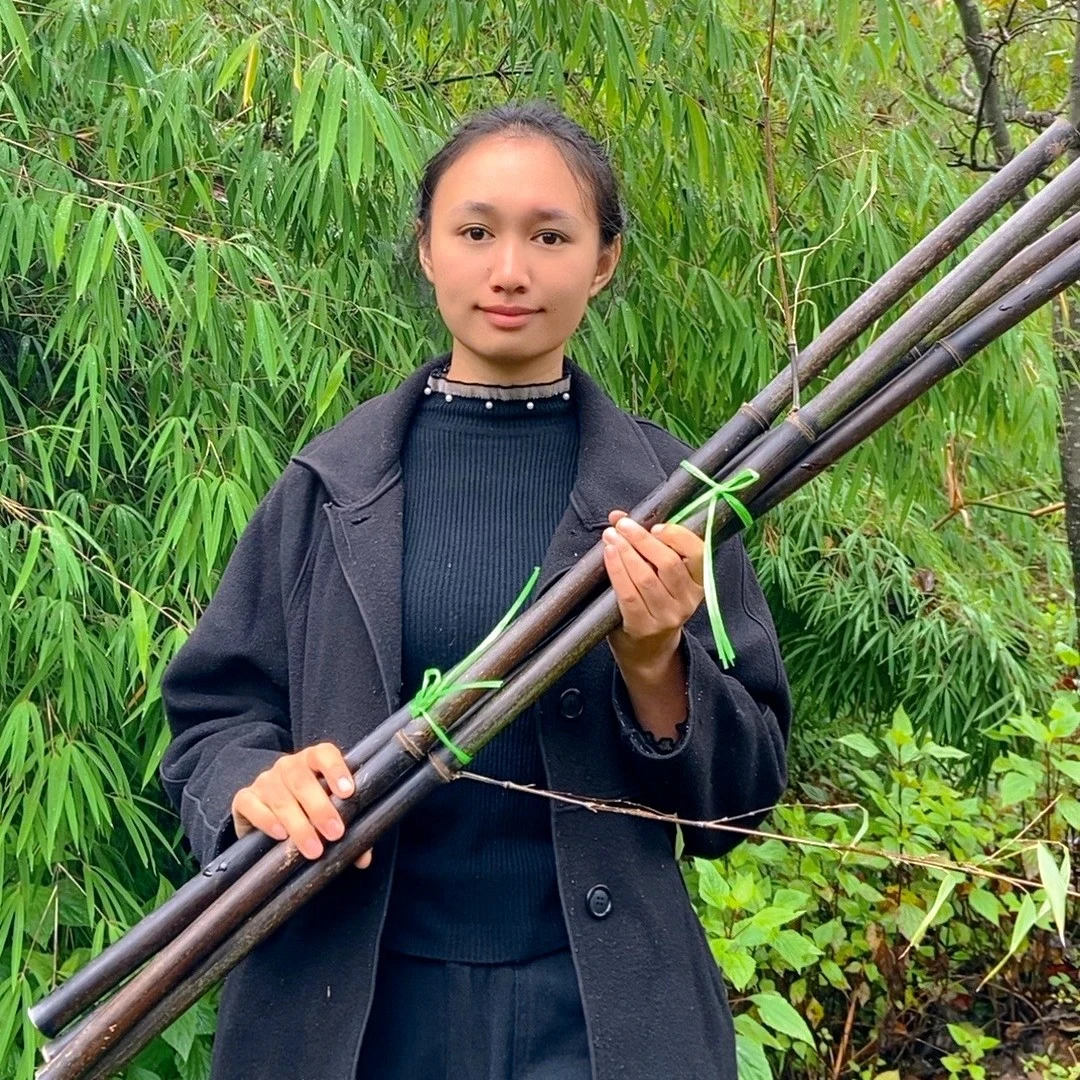 天然紫竹杆料粗细大竹竿教鞭篱笆栅栏文玩老竹子围栏插花架子