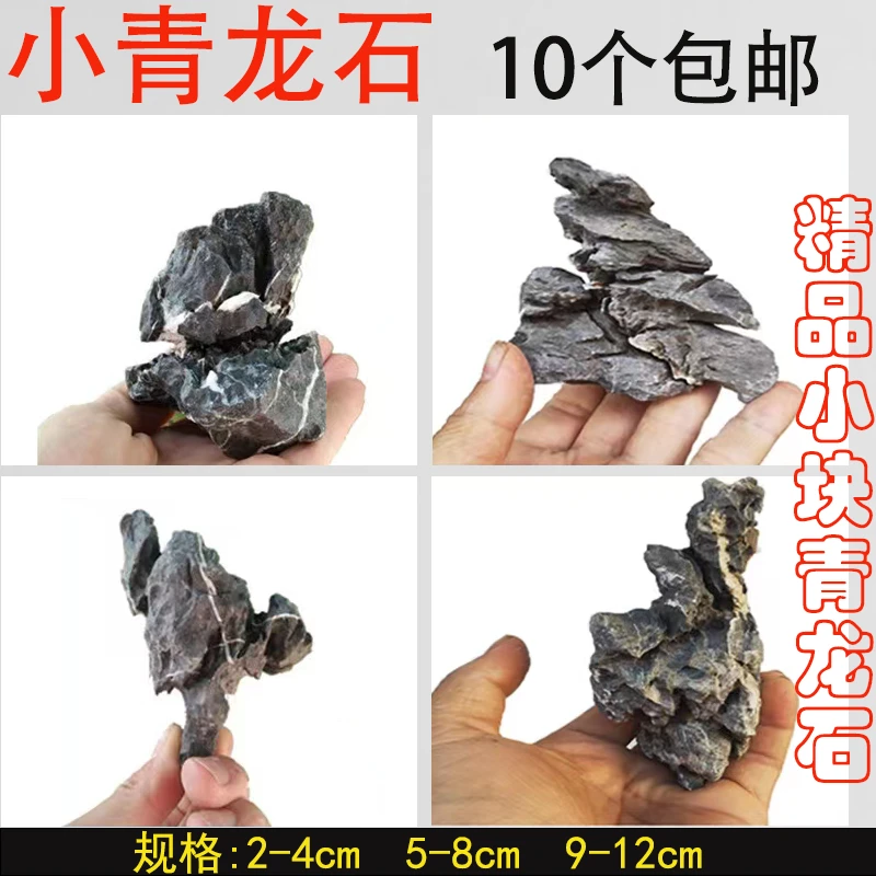 青龙石小块酸洗苔藓原生缸天然迷你型假山石摆件精选微观鱼缸造景