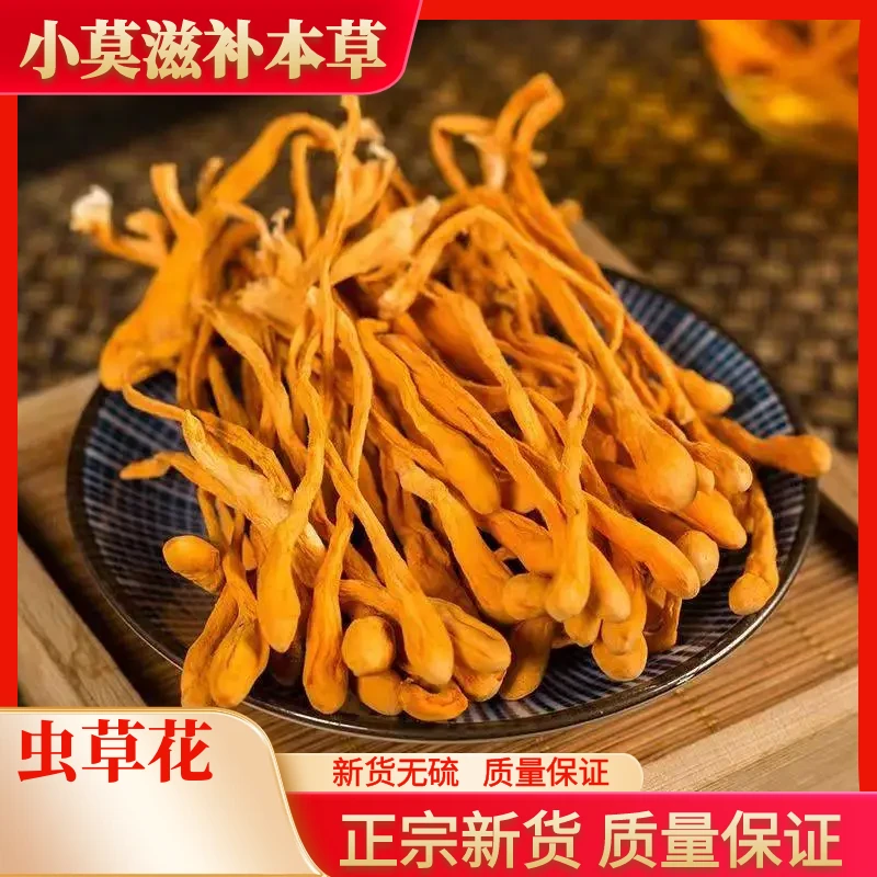 虫草花精选金蛹北虫草菇孢子头煲汤散装250-500克包邮非藏红花