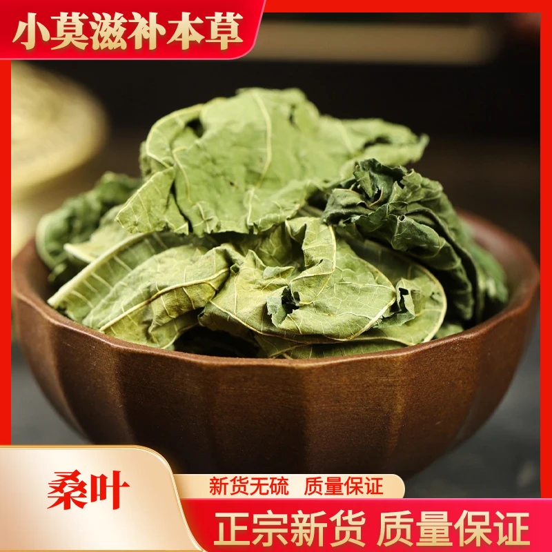 广西桑叶正宗霜后桑叶干货250g-500g包邮泡水泡茶精选优质桑叶