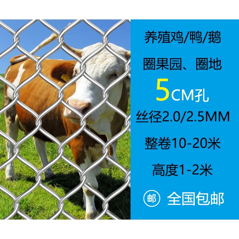 热镀锌铁丝钢丝网勾花棱形网鸡鸭羊猪牛养殖果园网荷兰网防护围栏