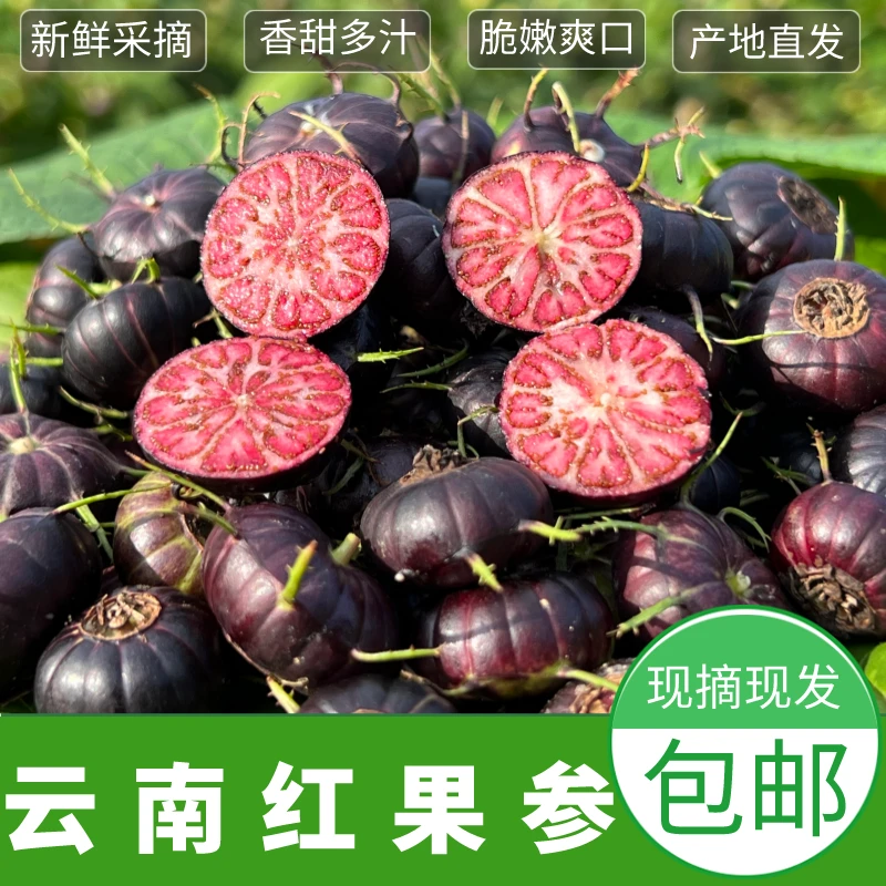 【精选特大果】云南文山蜘蛛果算盘果红果参125g/盒鲜水果顺丰包邮