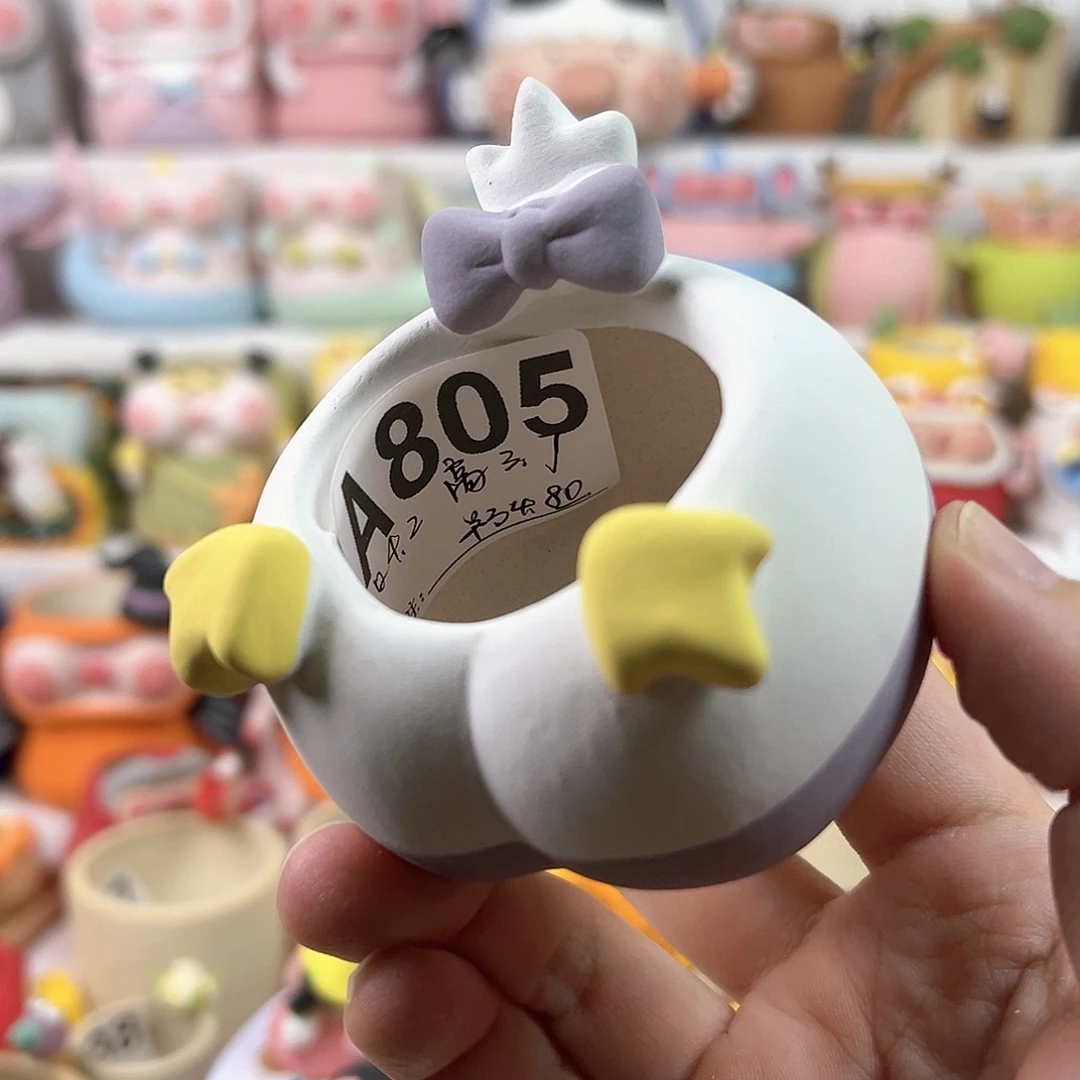 陶瓷20CM以下黛西PP盆特价满48元除偏远地区包邮