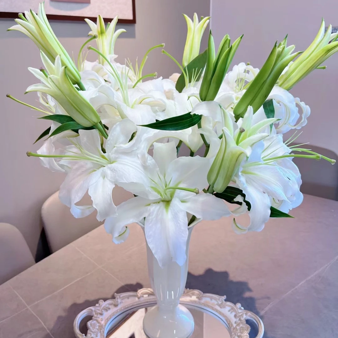 {满两单包邮} 西伯利亚百合5支15头 任意两单冷链包邮