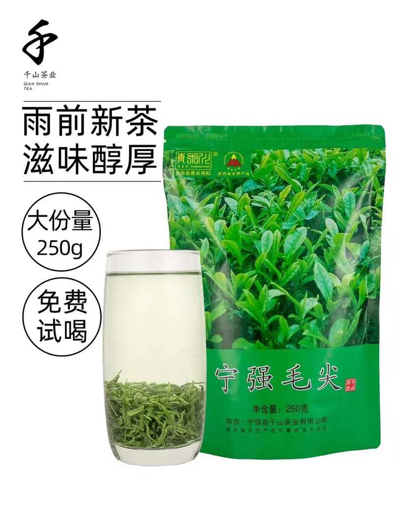 2025春陕南绿茶雨前新茶叶陕西汉中毛尖陕青一级耐泡大袋250g