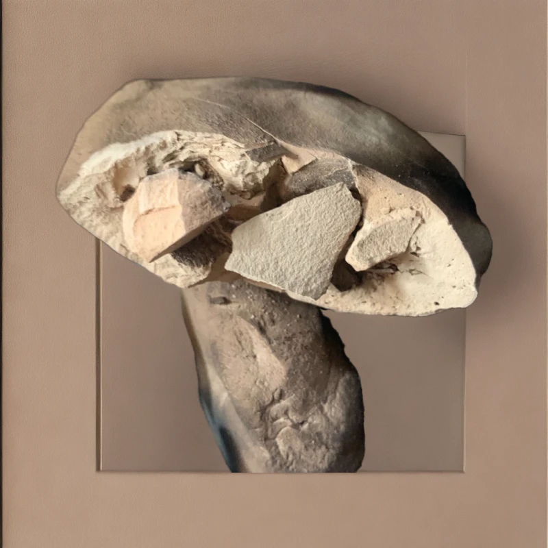 思思家脆饼 营养土优质土块