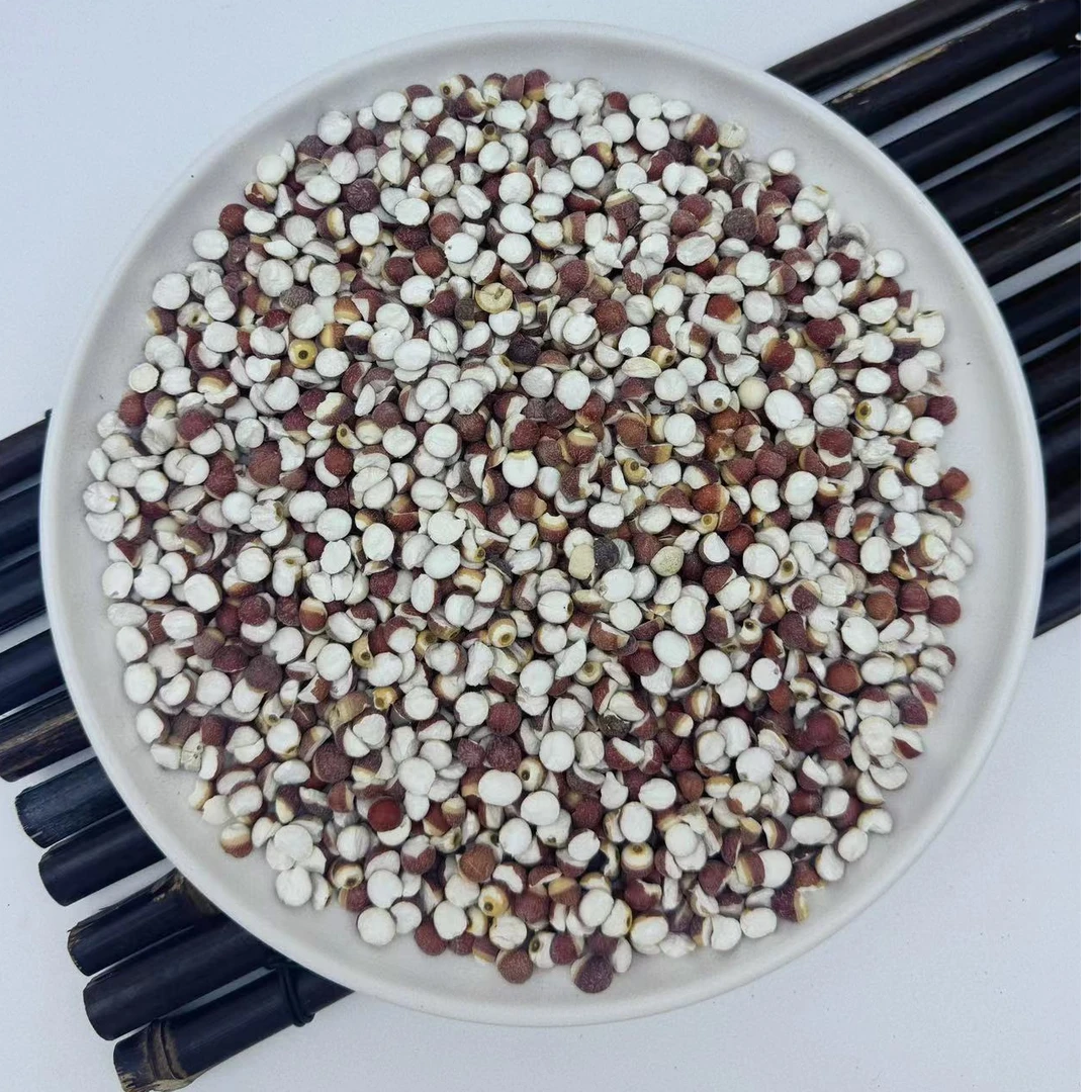 精选广东肇庆芡实 鸡头米