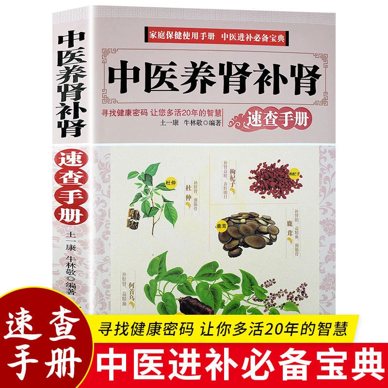 【正版现货】中医养肾补肾速查手册