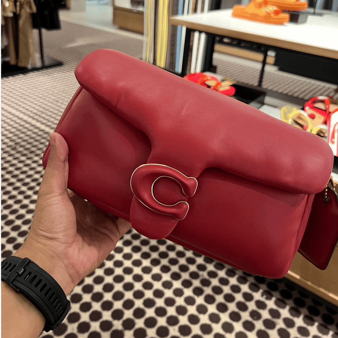 全新未使用 COACH/蔻驰 专柜大号C扣简约枕头包小众pillow云朵包