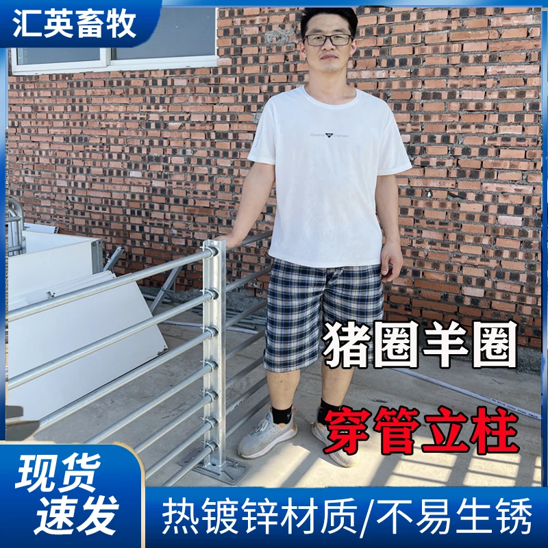 猪场羊场自制围栏 猪栏门穿管立柱墙边立柱DIY猪围栏立柱养殖设备
