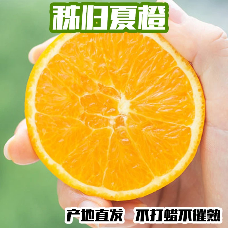 秭橙贡秭归夏橙整箱5-10斤新鲜水果当季酸甜手剥橙子现摘现发