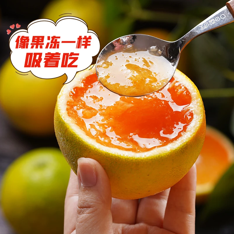【京东快递】秭归5-9斤九月红果冻橙 新鲜水果爆汁细腻当季采摘