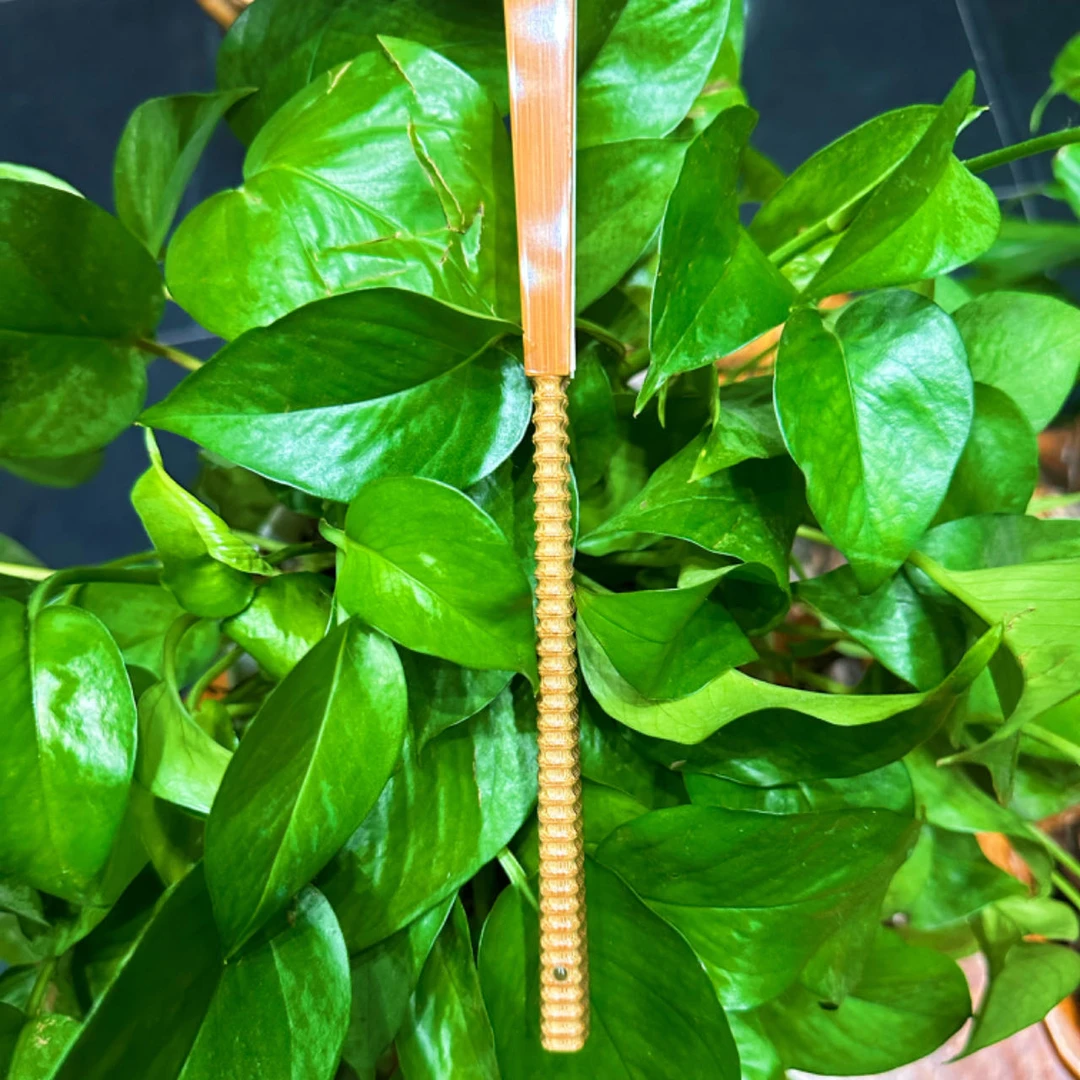 张仕鹏手制 95老玉竹竹节三合青 文玩苏扇  默认不粘扇面