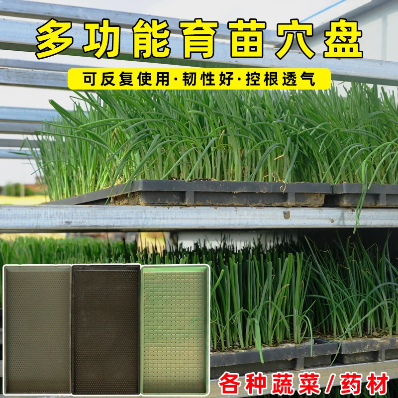 大葱用蜂窝纸链塑料育苗托盘