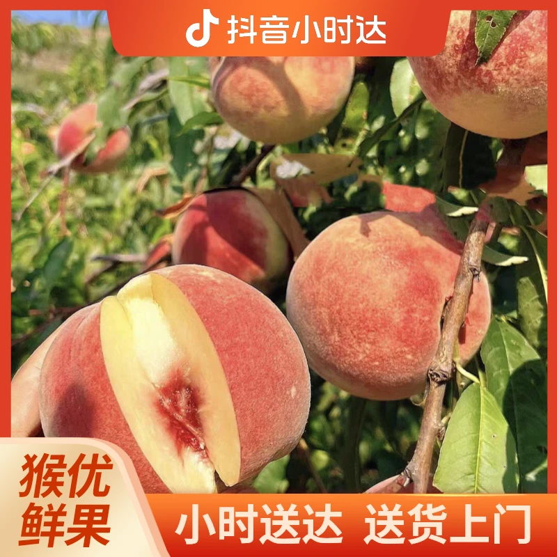 【拉萨同城配送】云南高山蜜桃
