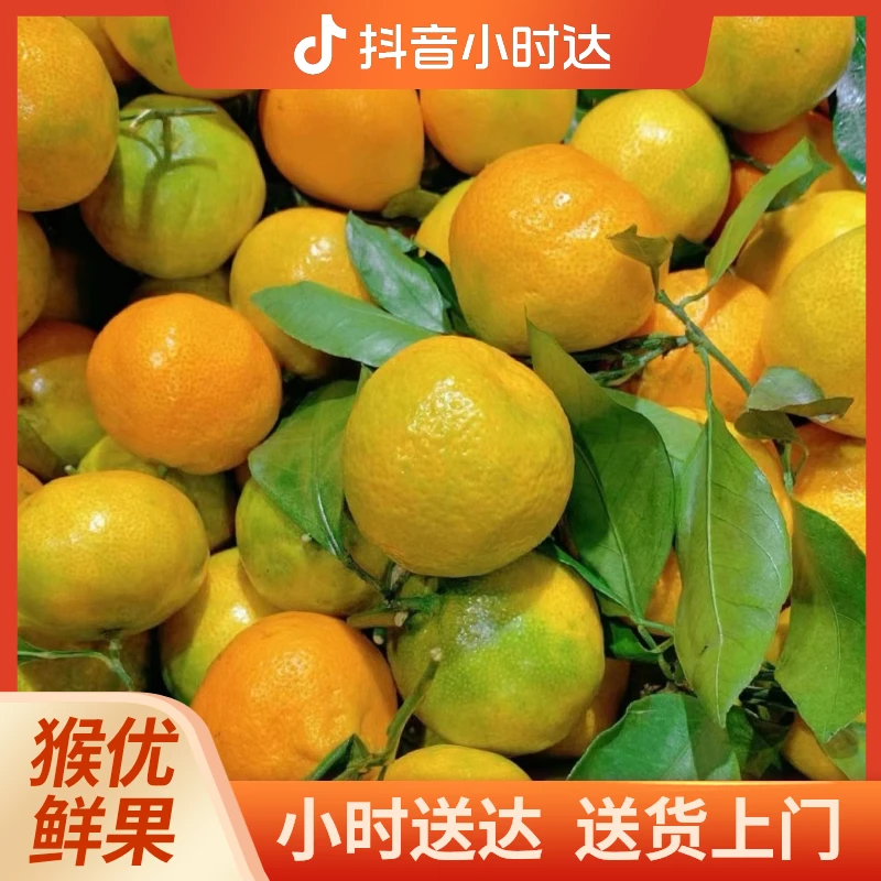 【拉萨同城配送】4斤金秋砂糖橘