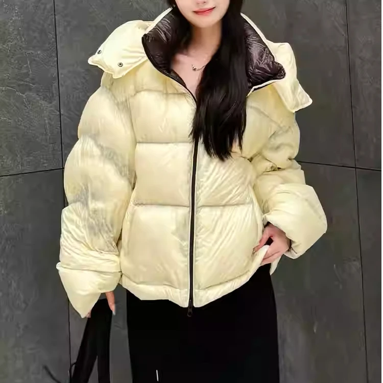 河岸家买手店设计师DONGDONGZHOU简约透视冰层鹅绒服女24秋冬