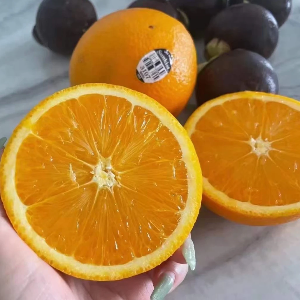 美国新奇士橙黑标3107脐橙大果5斤新鲜进口sunkist美橙甜橙子水果