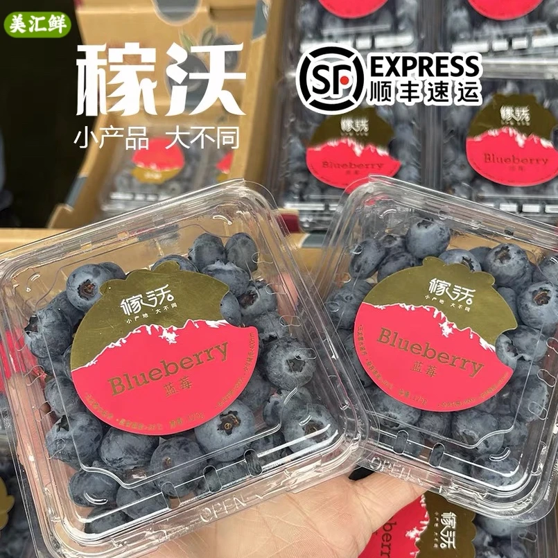 现货云南稼沃蓝莓大果蓝莓鲜果新鲜浓郁脆甜孕妇水果宝宝辅食年货
