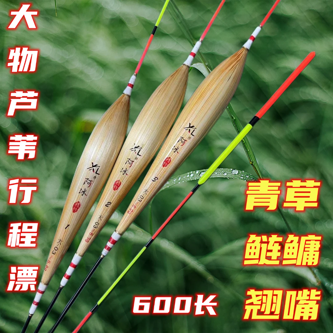 芦苇大物浮漂漂醒目荧光放大加粗加固防爆顶远投青鱼草鱼鲢鳙翘嘴