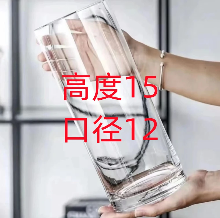 创意透明玻璃花瓶透明描金水养鲜花绿植植客厅雪柳花瓶摆件简约