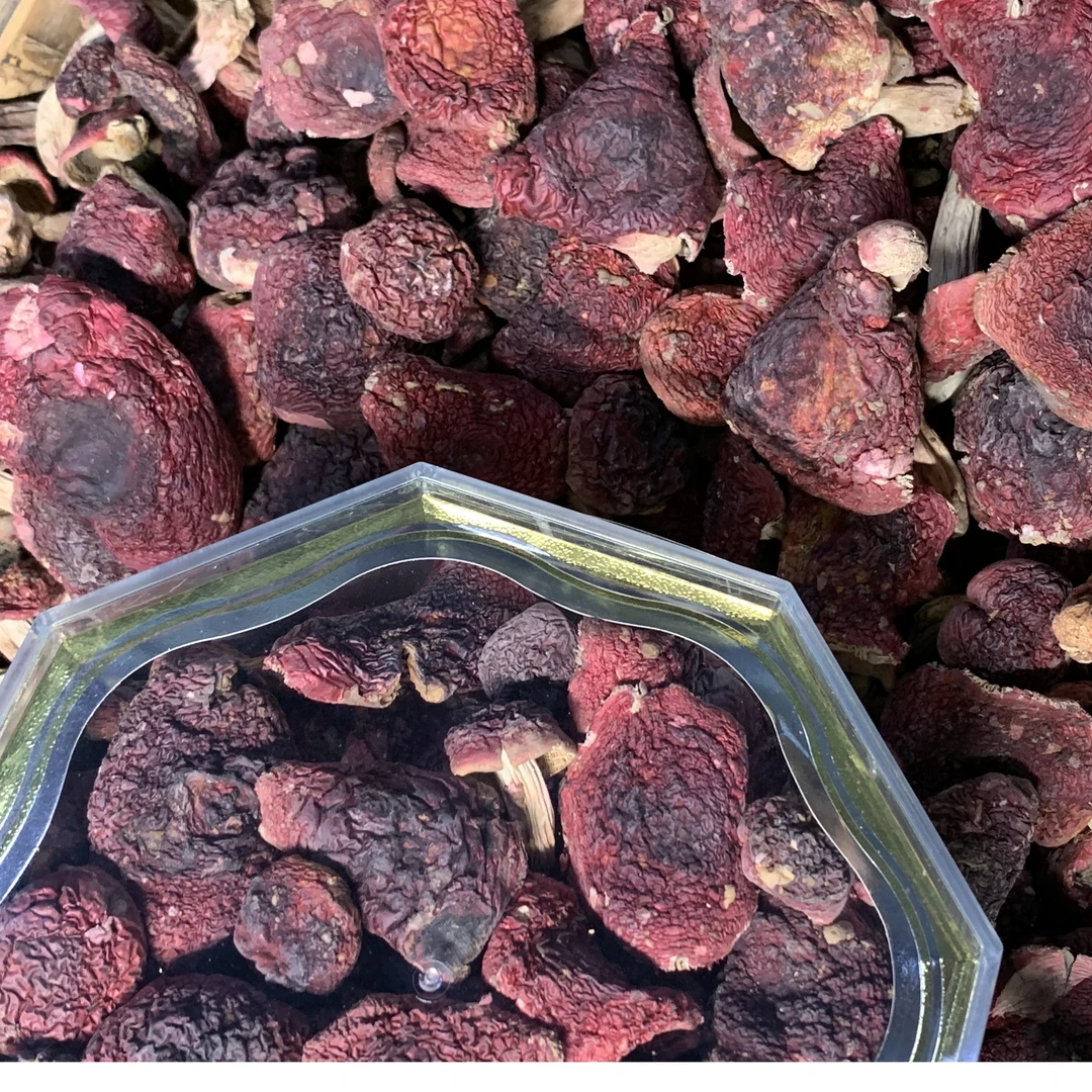 善小舟 野生本地红菇50-500g