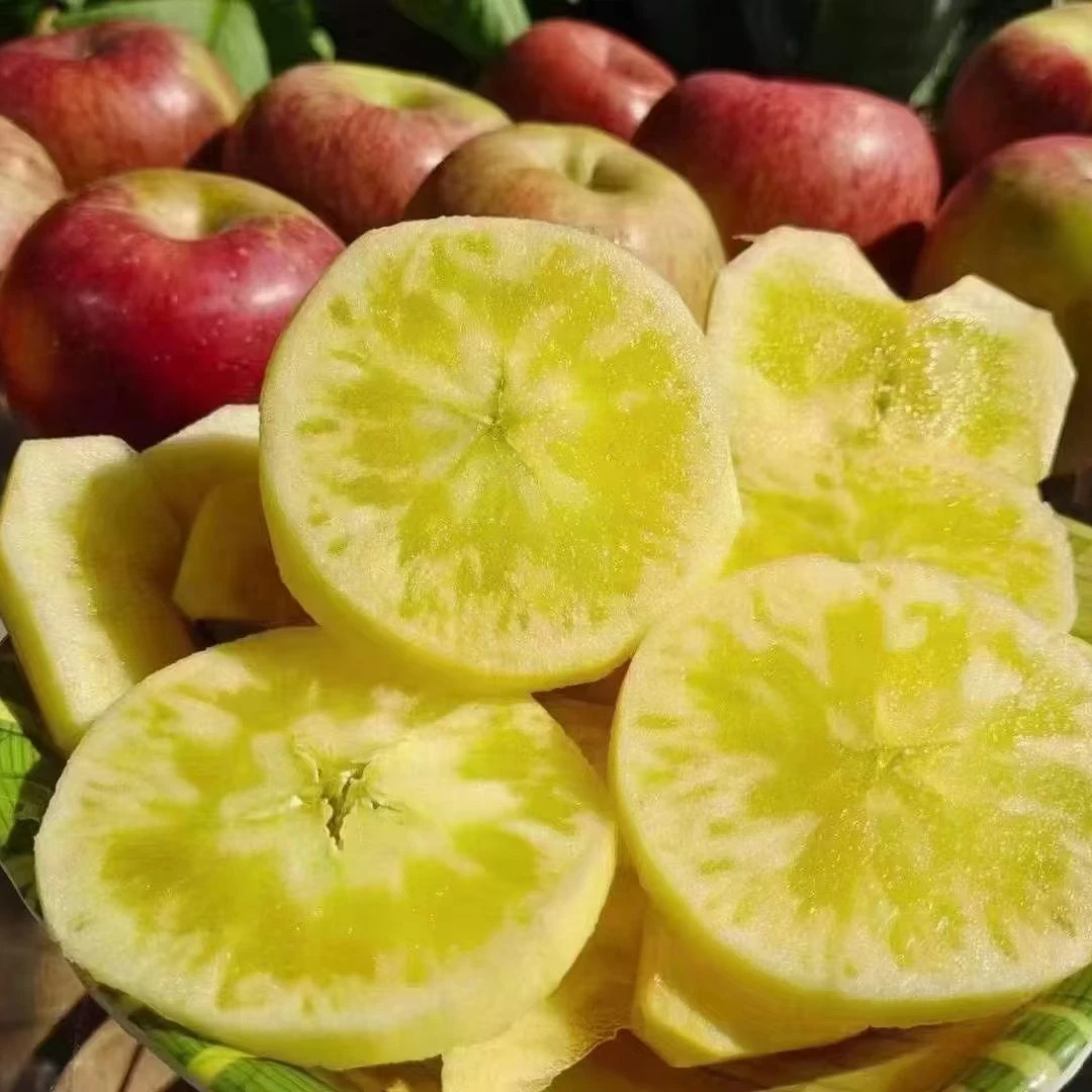 大凉山糖心苹果  大果   高山苹果 爆糖多汁  新鲜采摘  糖心苹果