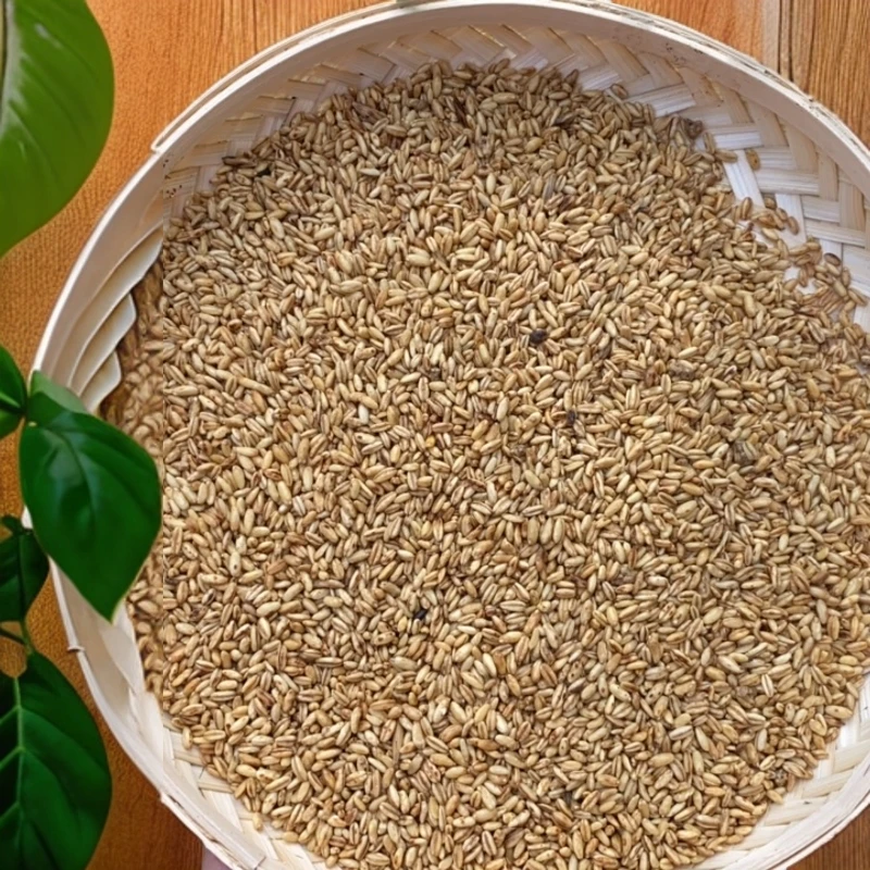 【源头山货】大海草山燕麦 麦香特产 500g/1000g