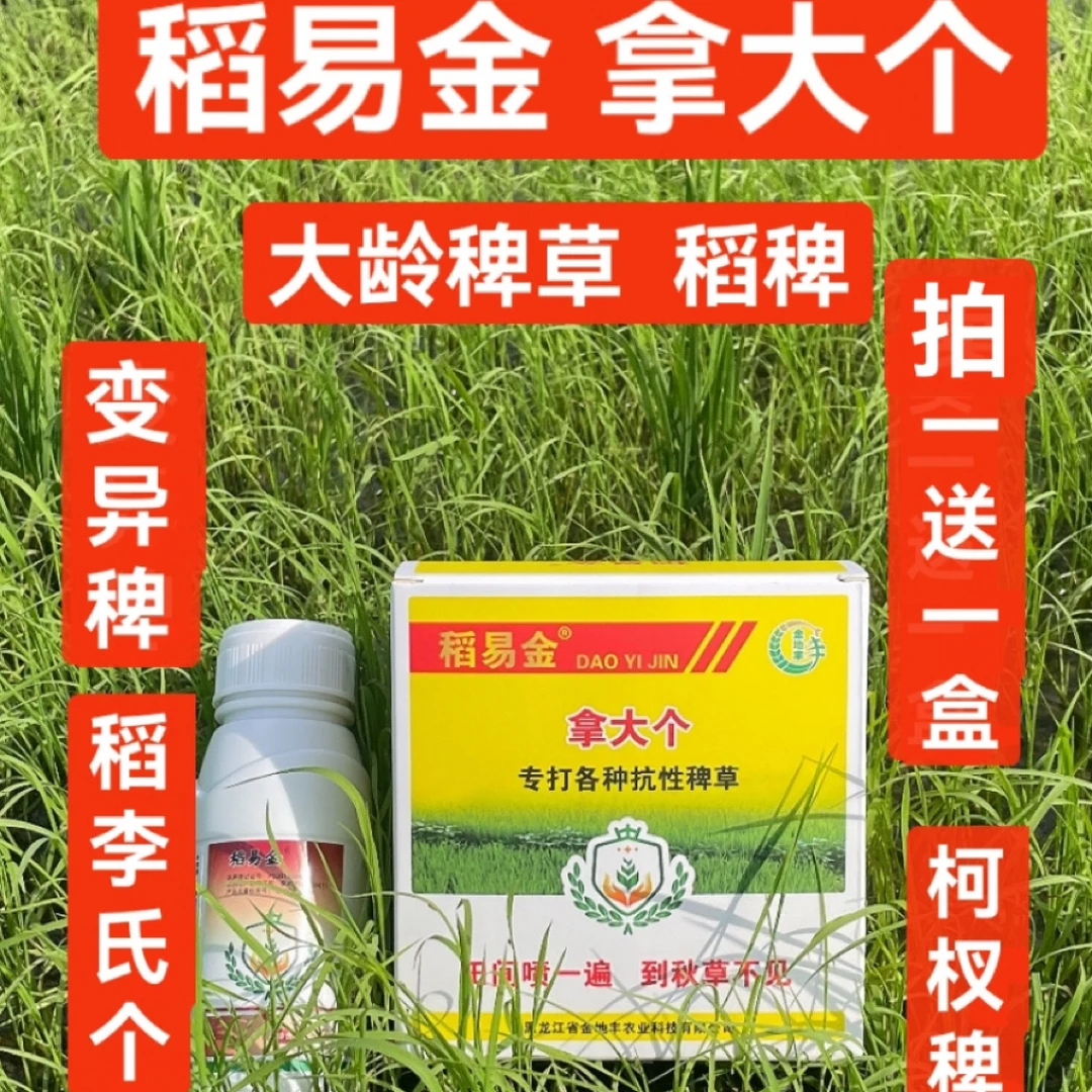 稻易金拿大个大龄稗草