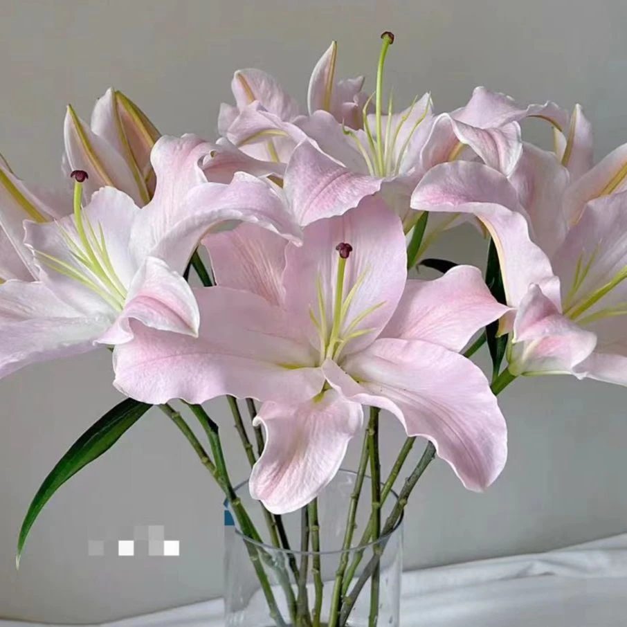 百合-粉天使-任意两单鲜花顺丰/京东或德邦