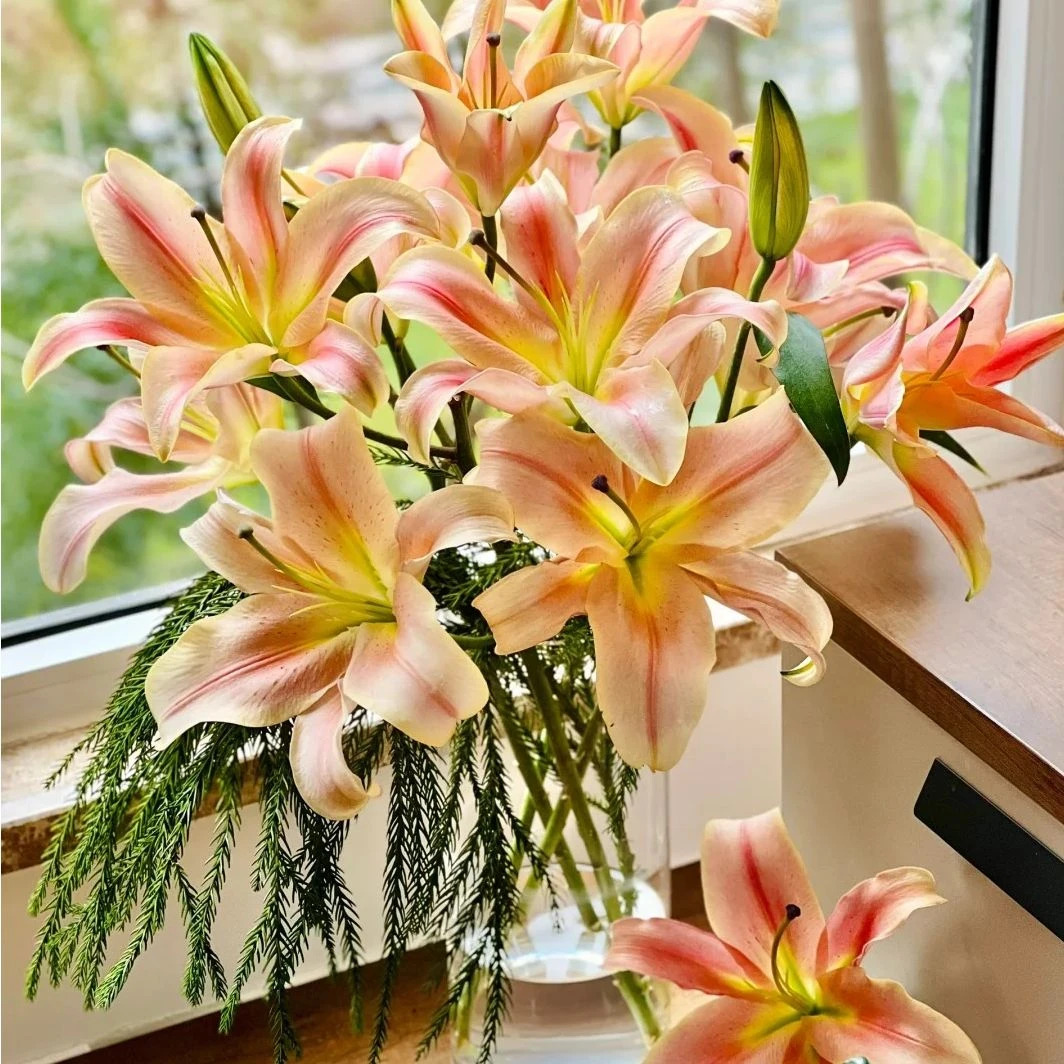 百合-一见钟情-任意两单云南鲜花顺丰冷链养护