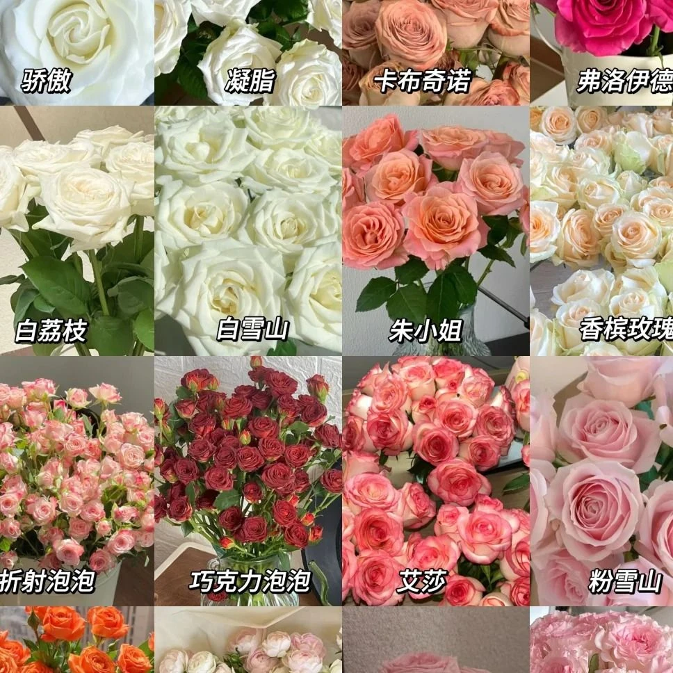 凑单 品牌单玫-不选色-1扎/10枝（50-60cm）（无土栽培小玫瑰）