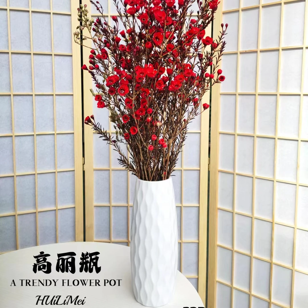 【树脂花瓶】 粉丝福利 不可单拍 单拍无效