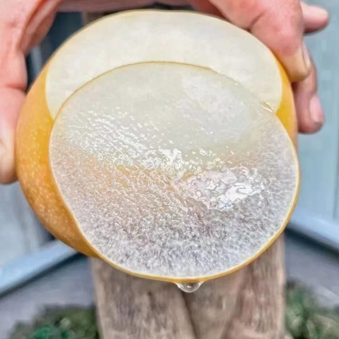 《农人老三》秋月梨一箱7-8枚6.5-7斤  香甜多汁礼盒装 京东包邮