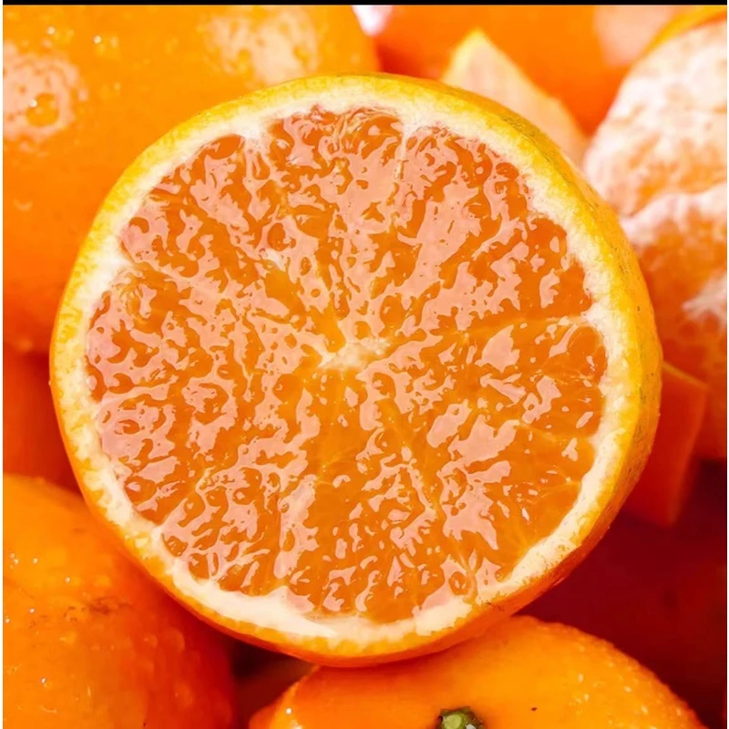 《农人老三》冰其淋蜜橘一箱3斤  京东包邮