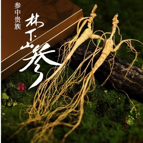 盛昕源长白山人参林下参礼盒东北人参林下参正品干货泡酒50g