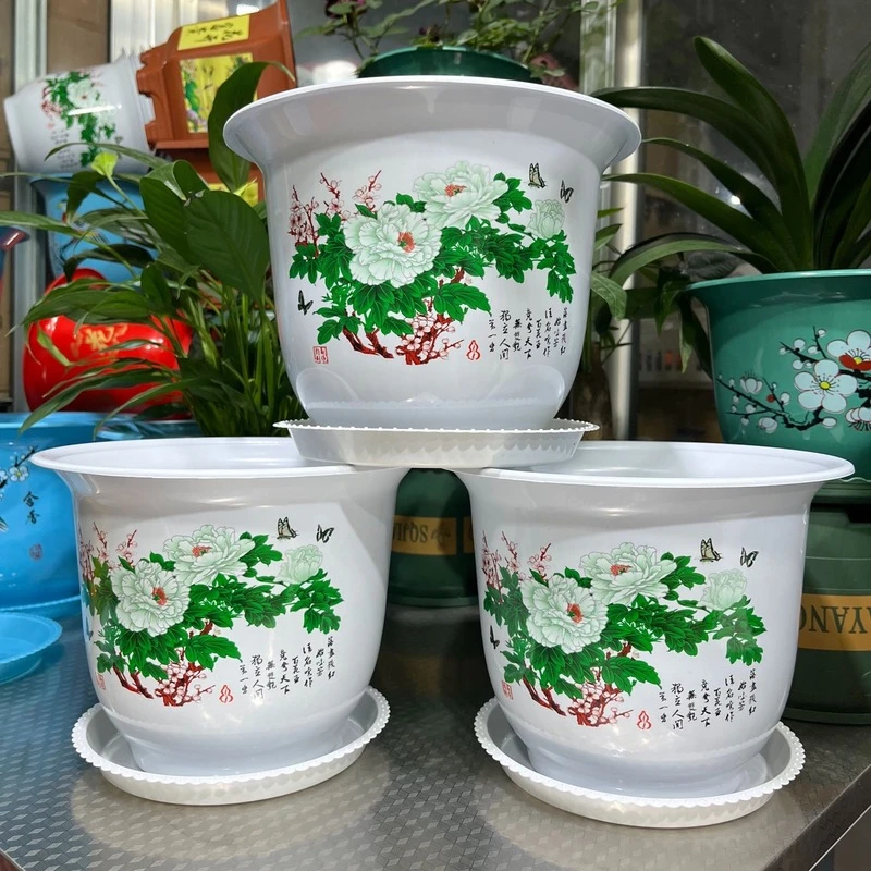 3个200#白牡丹花盆 【直径19.5厘米，高度15厘米】送托盘
